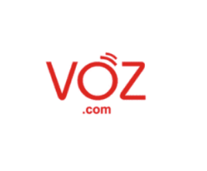 logo voz